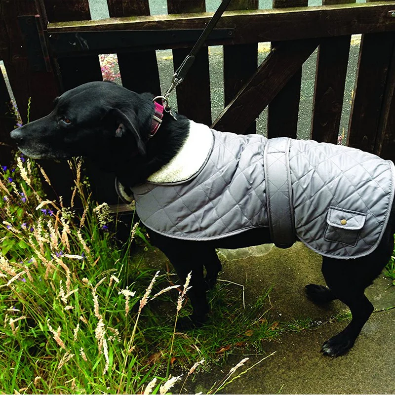 Large Dog Coat Grey Faux Fur & Faux Leather 49cm by Banbury - Image 3