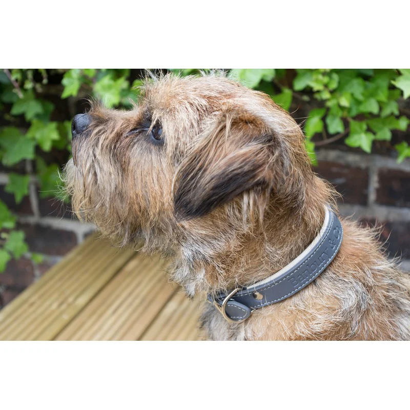 Medium Dog Collar and Lead Brown Faux Leather by Banbury - Image 2