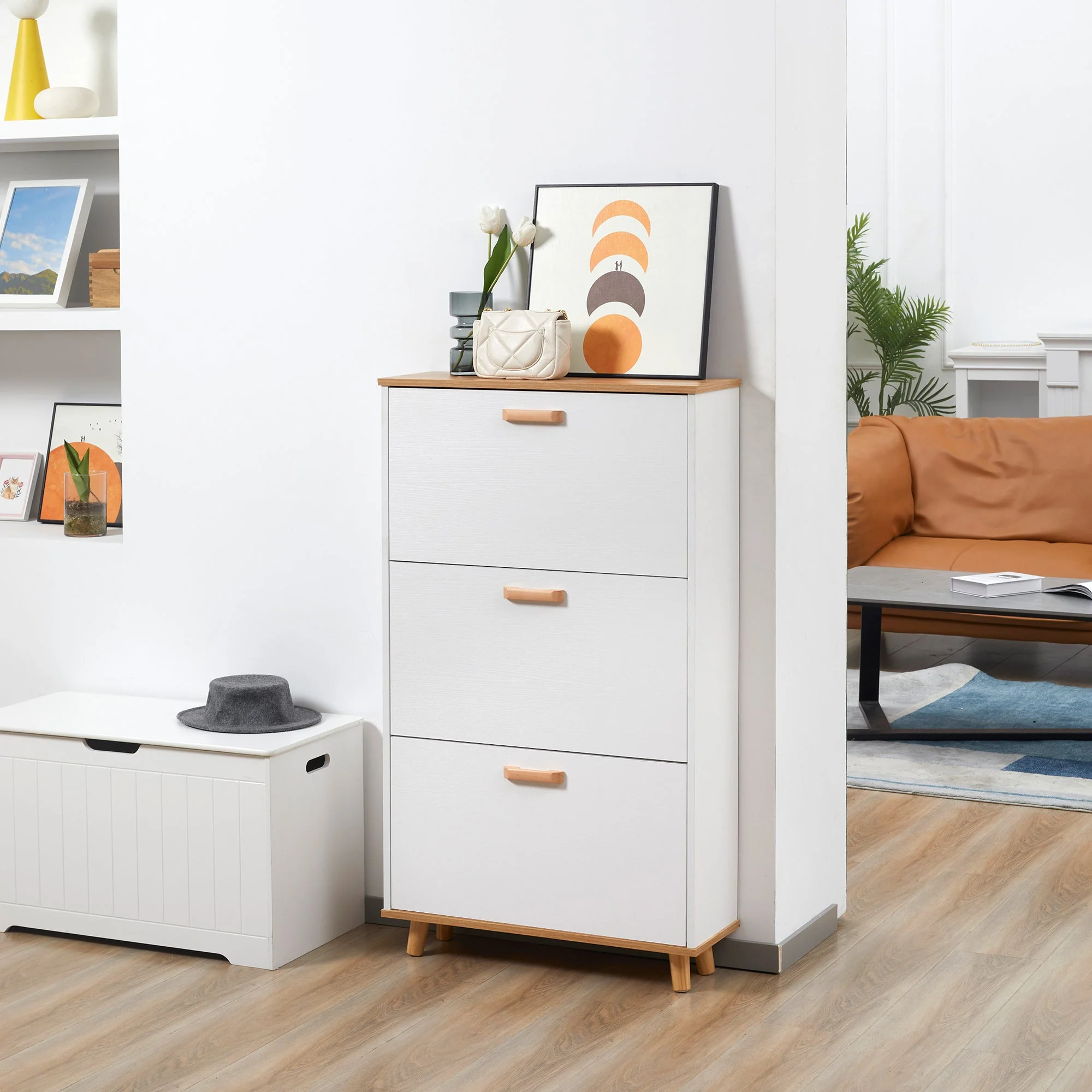 Narrow Shoe Cabinet
